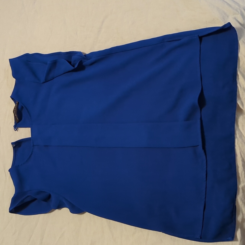 Blue Zara top